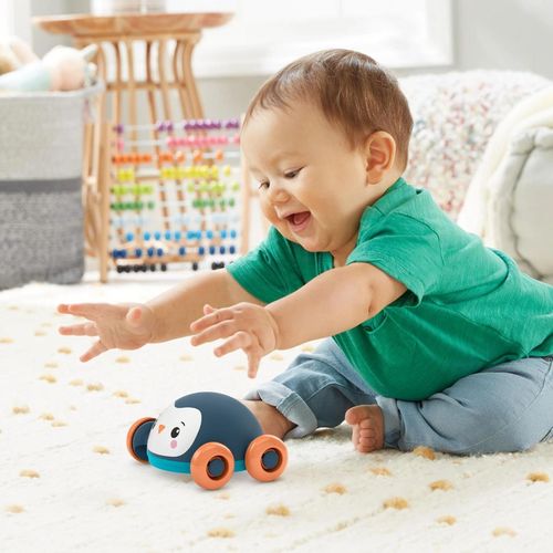 cumpără Jucarie de tras și împins Fisher Price GTJ61 Animalute pe rotile (as.) în Chișinău 