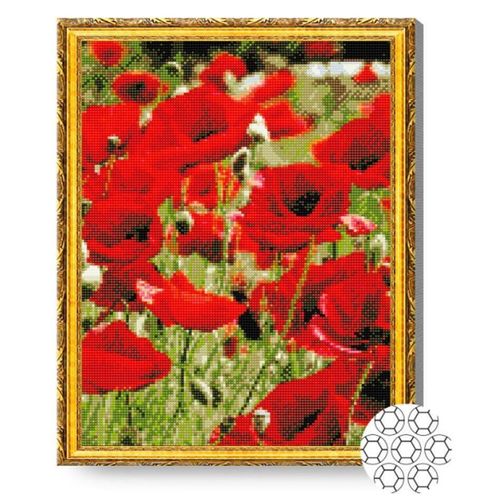 cumpără Tablou pe numere Art Gallery GA85946 Mozaic cu diamante 40x50cm Maci aprinsi în Chișinău 