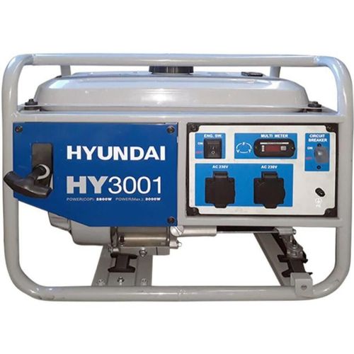 купить Генератор Hyundai HY3001 2.8 kW 220 V в Кишинёве 