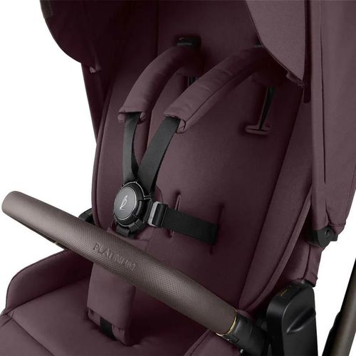 cumpără Сărucior pentru copii Kikka Boo 31001020173 Carucior 2in1 Goya Platinum Merlot în Chișinău 