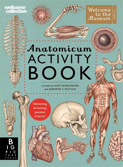 купить Anatomicum Activity Book в Кишинёве 