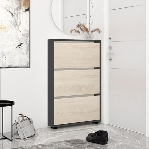 купить Полка для обуви Mobildor-Lux Leo Slim 60x16x125H cm Anthracite/Sonoma в Кишинёве 