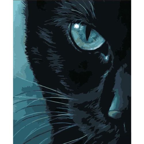 cumpără Tablou pe numere Strateg R 8 /26 (DY305)(42246) Privire rece, 40x50 cm în Chișinău 