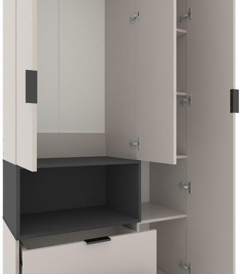 cumpără Dulap Nex Home A002L cu usi batante, 1000x420x2300mm, Anthracite/Cashmere în Chișinău 