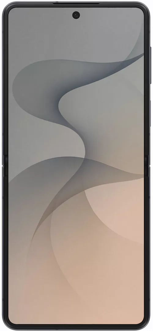 купить Смартфон Samsung F776 Galaxy Flip 8 12/256GB Graphite в Кишинёве 