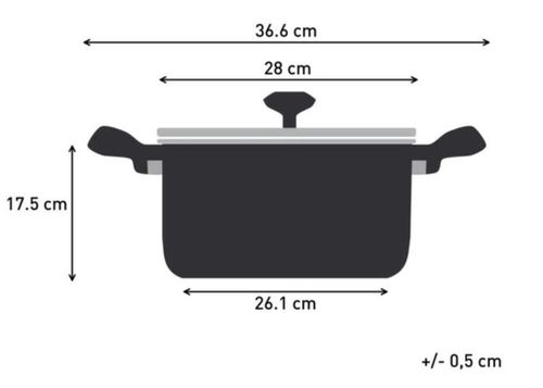 cumpără Cratiță Tefal G7196456 Duetto+ 10l în Chișinău 