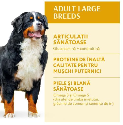 купить Корм для питомцев Optimeal 24231076 Sac caini mari pui 20 kg в Кишинёве 