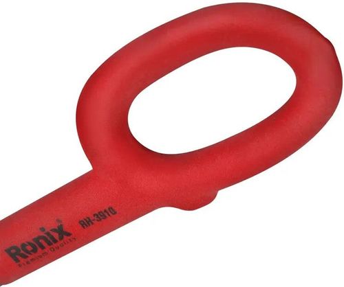 cumpără Foarfecă pentru metal Ronix RH-3910 în Chișinău 