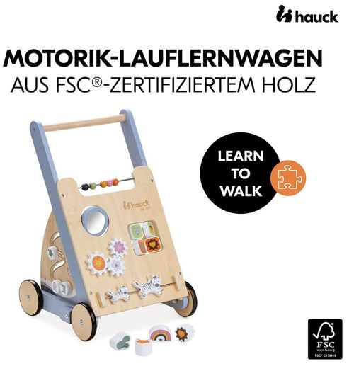 cumpără Premergător Hauck Learn to Walk Skills în Chișinău 