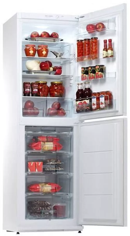 cumpără Frigider cu congelator jos Snaige RF 35SM-S0002F în Chișinău 