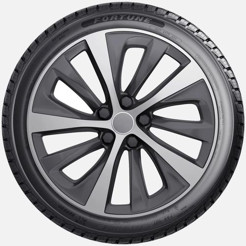 купить Шина Fortune 225/50 R17 98W FSR-401 m+s в Кишинёве 