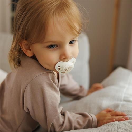 cumpără Suzetă BabyOno 1670/03 Suzete simetrice din silicon 18+ luni (2 buc.) în Chișinău 