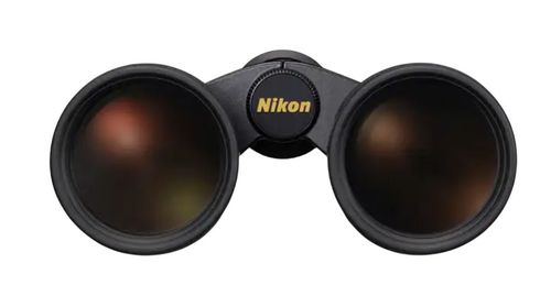 купить Бинокль Nikon Monarch HG 10x42 в Кишинёве 