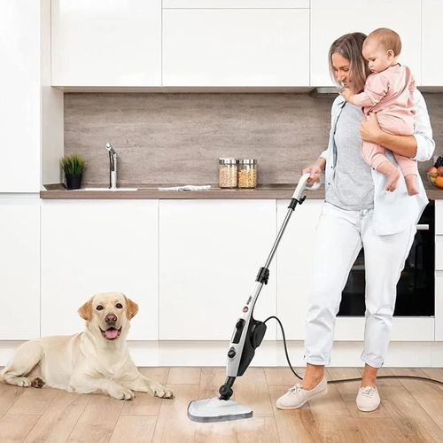 cumpără Mop cu abur Hausberg HB-1501AB în Chișinău 