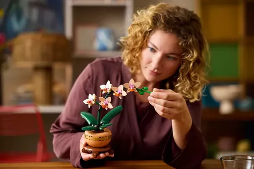 cumpără Set de construcție Lego 10343 Mini Orchid în Chișinău 