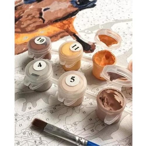 cumpără Tablou pe numere BrushMe RBS54231FC 30x40cm (fără cutie) Sakura lângă casă în Chișinău 