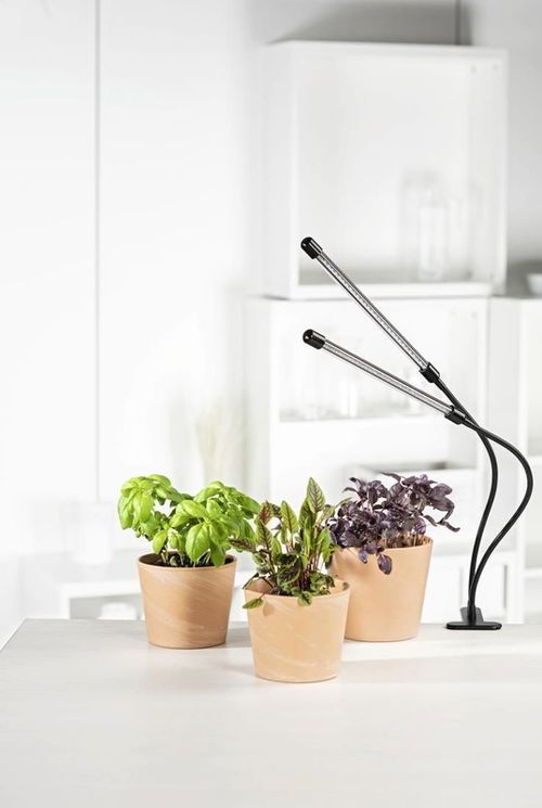 купить Настольная лампа Xavax 112697 Plant Lamp в Кишинёве 