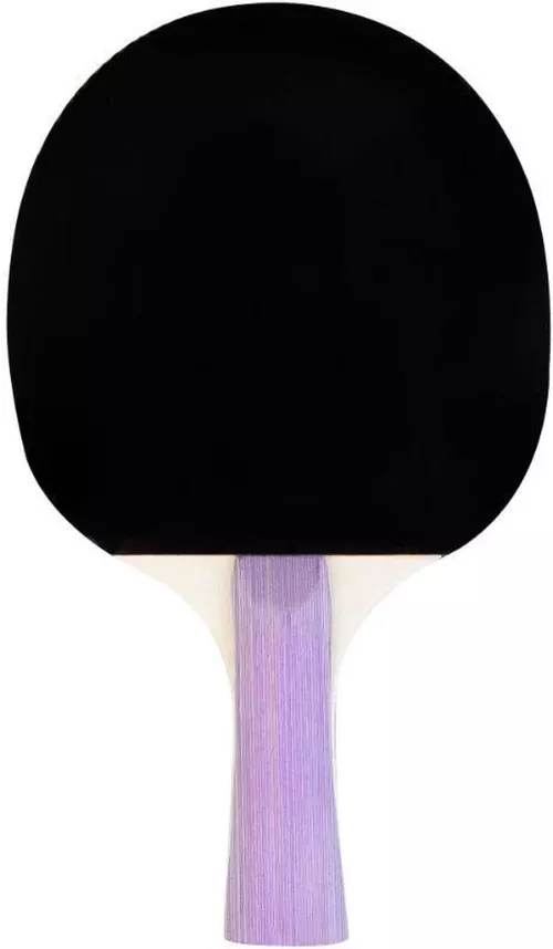 купить Теннисный инвентарь Spokey 81812 Ракетка для настольного тенниса Smash Set в Кишинёве 