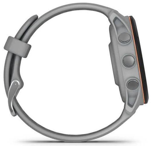 купить Смарт часы Garmin Forerunner 255S Powder Grey (010-02641-12) в Кишинёве 