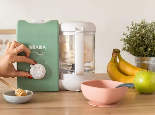 cumpără Aparat de gatit cu abur si blender Beaba B916301 Babycook Express Sage Green în Chișinău 