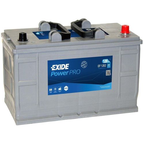 купить Автомобильный аккумулятор Exide EF1202 Power Pro в Кишинёве 