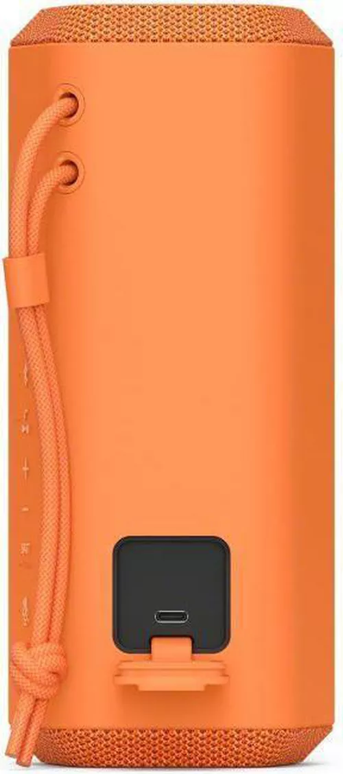 купить Колонка портативная Bluetooth Sony SRSXE200D в Кишинёве 