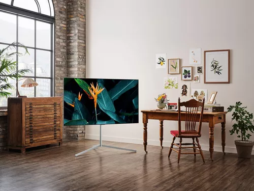 купить Телевизор LG OLED55G16LA в Кишинёве 