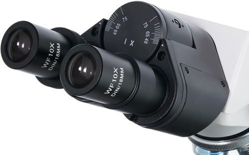 cumpără Microscop Levenhuk 900B Binocular în Chișinău 