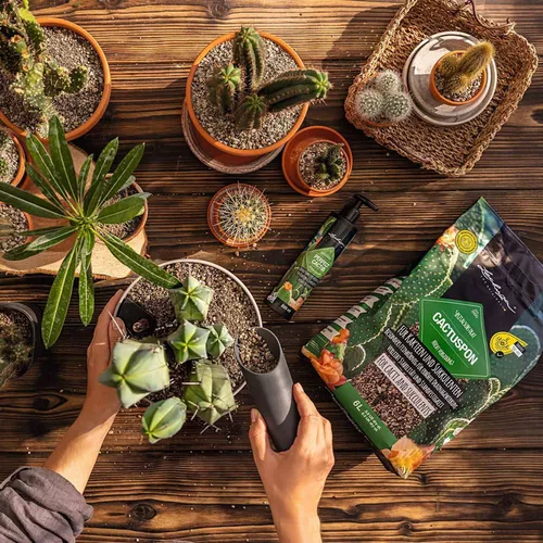 cumpără Substrat pentru plante Lechuza Cactuspon, 6l în Chișinău 
