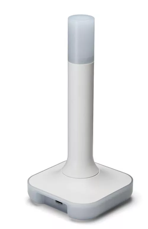 купить Wi-Fi точка доступа Home Assistant Connect ZBT-2 Zigbee/ Thread в Кишинёве 