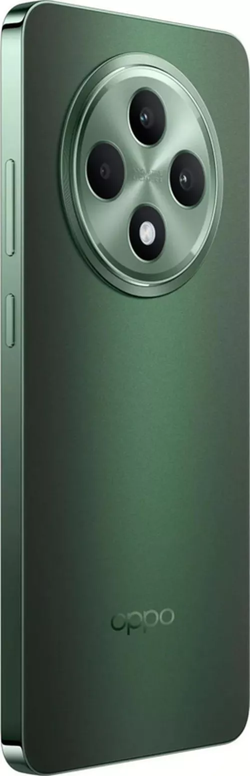 купить Смартфон OPPO Reno 12 FS 5G 12/512GB Black Green в Кишинёве 