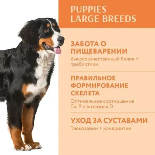 купить Корм для питомцев Optimeal 24231101 Sac caini pui mari curcan 12 kg в Кишинёве 