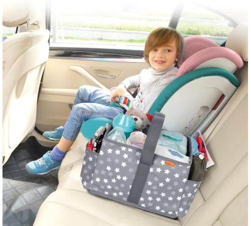 cumpără Geantă pentru mama Dreambaby G6080 Органайзер для мамы în Chișinău 