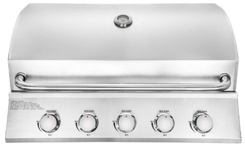 купить Мангал ArtFlame ERB500R pe gaz din otel inoxidabil в Кишинёве 