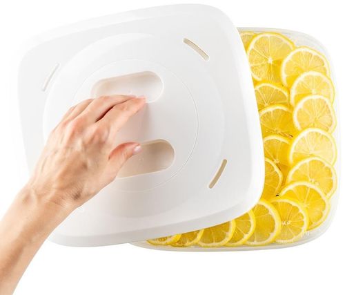 cumpără Aparat de deshidratat alimente Muhler DHY-300T în Chișinău 