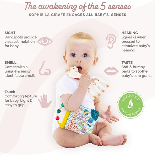 cumpără Zornăitoare Sophie la Girafe 516325 Set pentru nastere în Chișinău 
