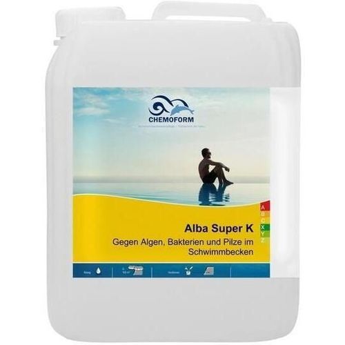 купить Химия для бассейна Intex 61037 Algicid Alba Super K împotriva algelor Chemoform 5 L в Кишинёве 