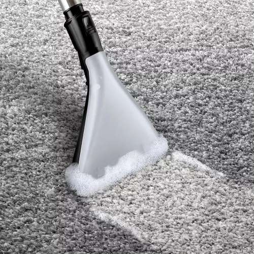 купить Пылесос моющий Bosch BWD420HYG в Кишинёве 