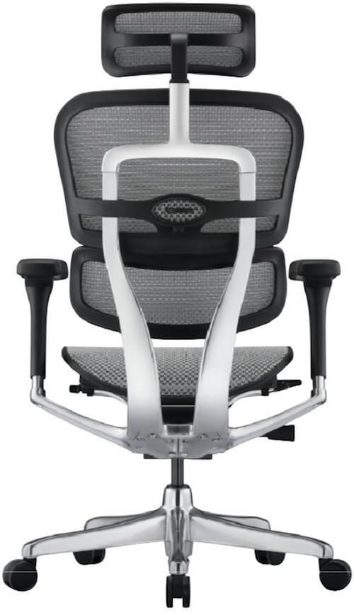 купить Офисное кресло ART Ergohuman Elite 2 BL Natural T-168-B2 EHE2-AB-HAM-5D-L в Кишинёве 
