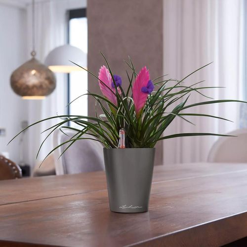 cumpără Ghiveci pentru flori Lechuza Mini Deltini Premium, Shiny Taupe în Chișinău 