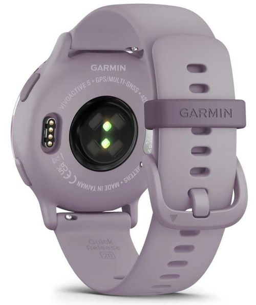 купить Смарт часы Garmin Vivoactive 5 Orchid (010-02862-13) в Кишинёве 