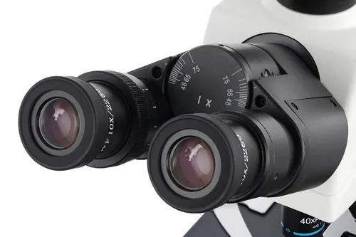 купить Микроскоп Levenhuk MED D45T Digital Trinocular в Кишинёве 