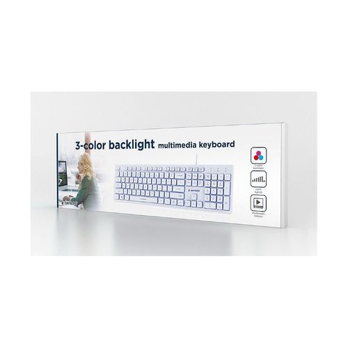 купить Клавиатура Gembird KB-UML3-01-W-RU Multimedia keyboard, Silent, 3-color backlight, 12 practical multimedia hotkeys, RU layout, USB, White в Кишинёве 