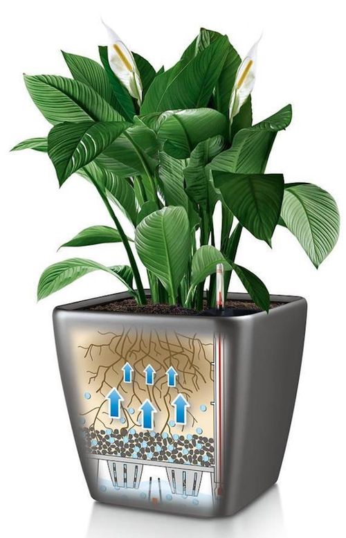 купить Цветочный горшок Lechuza Quadro Premium 50 LS All In One Charcoal в Кишинёве 