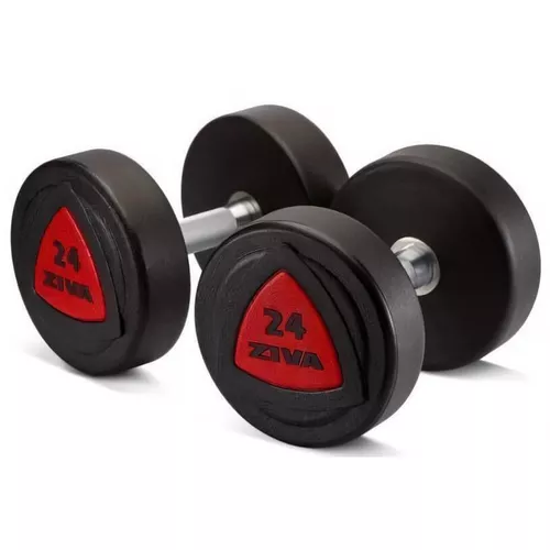 cumpără Ganteră ZIVA 12824 Zvo Urethane Tribell Studio Dumbbell 2.0kg (ZVO-PU10-1732-OR) în Chișinău 