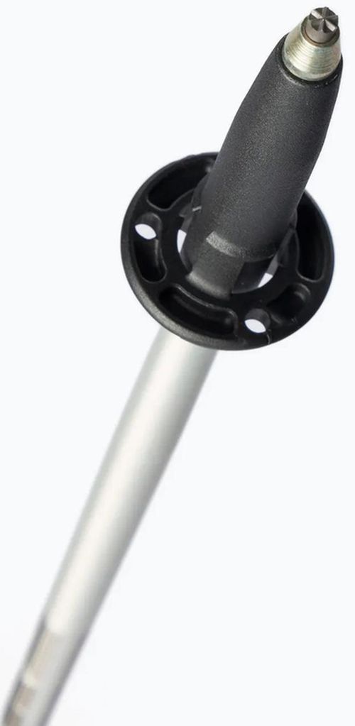 cumpără Bețe pentru trekking Masters SUMMIT LIGHT Women (01S4619) în Chișinău 