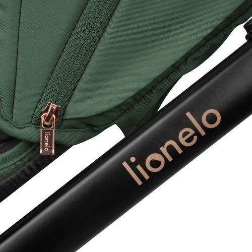купить Детская коляска Lionelo Carucior 2in1 Layla Green Forest в Кишинёве 