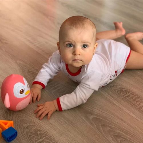cumpără Jucărie Baby Mix HS-0202 PINK Пингвин în Chișinău 