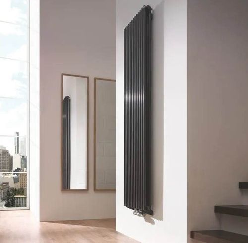 купить Радиатор Gorgiel CEZAR AD2 100/55 Jet Black 19 {21} в Кишинёве 