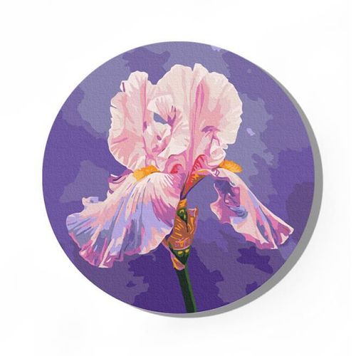 cumpără Tablou pe numere BrushMe RC00078M rotunda d30, Iris roz în Chișinău 